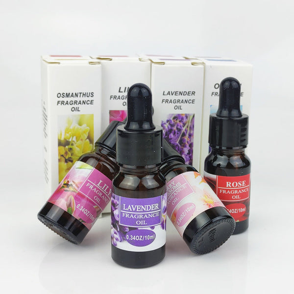 Indoor Aroma Oasis Diffuser