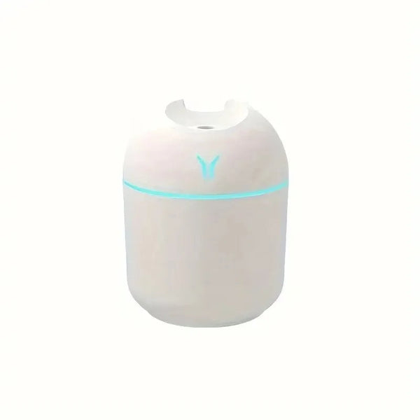 Travel Mist Humidifier & Diffuser